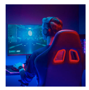 GARMIN Instinct Gamer
